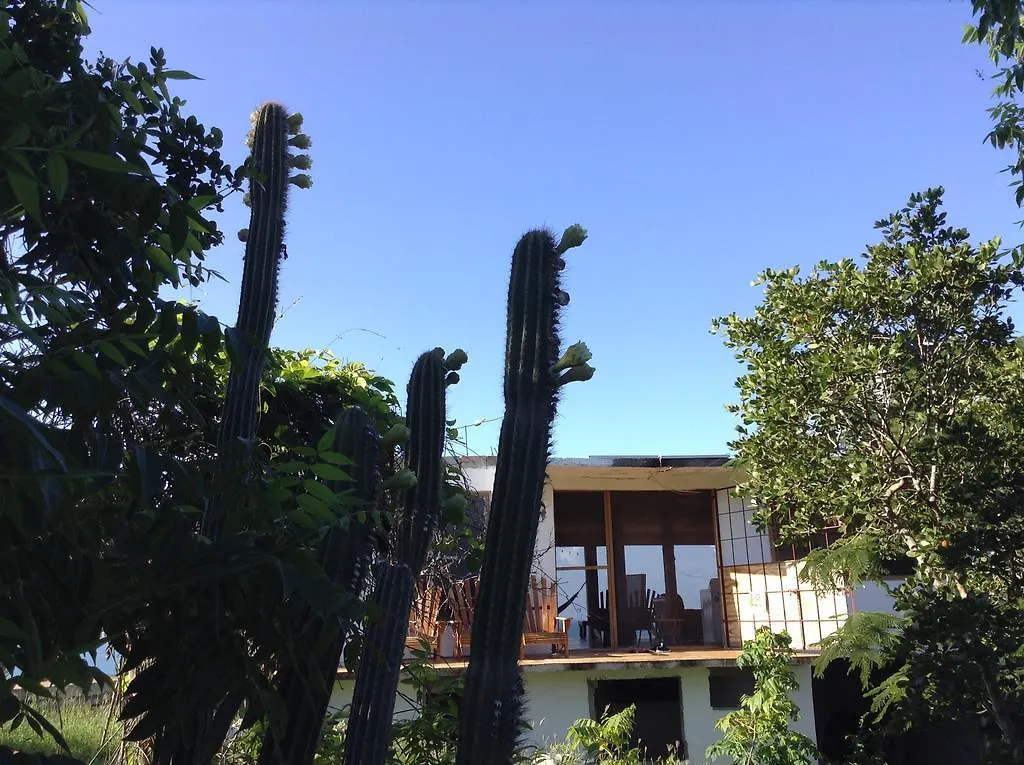 Welcoming Vibes Guest House Treasure Beach